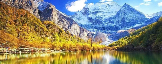 有什么景点呢(什么地方有什么景点)