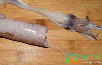 鱿鱼的内脏怎么去除(鱿鱼怎么处理内脏)