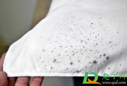 衣服有异味用什么能够消除(用什么能去除衣服上的异味)