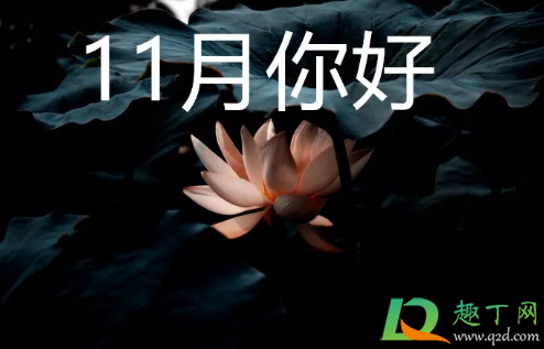 冬月是农历几月份(冬月是农历几月份是什么星座)