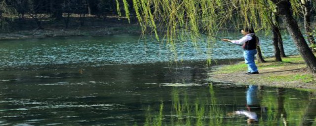 臭水沟钓鱼方法(臭水沟里的鲫鱼怎么钓)