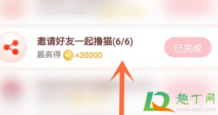 2020淘宝双十一养猫助力有次数限制吗(2020淘宝猫猫助力一天几次) 2020淘宝双十一养猫助力有次数限制吗(2020淘宝猫猫助力一天几次)