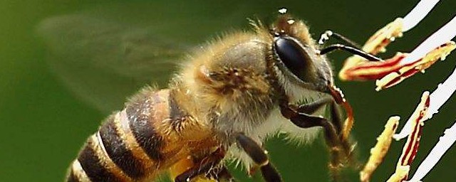 这些细节一定要注意(注意小细节)