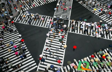 日本新冠确诊超10万例真的假的(日本新冠确诊病例超8000例)