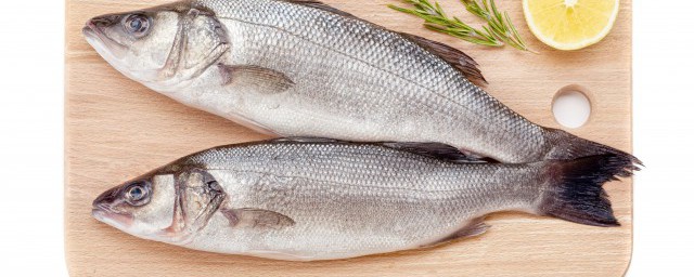 爱钓鱼的快来这里看一看(钓鱼钓鱼技巧)