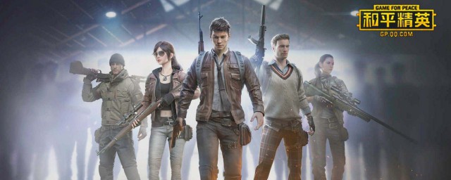 具体皮肤介绍(皮肤 百度百科)