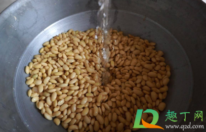 黄豆水太臭了怎样处理了不错(黄豆水为什么臭)