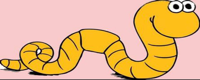 养殖蚯蚓利润(养殖蚯蚓利润大吗)