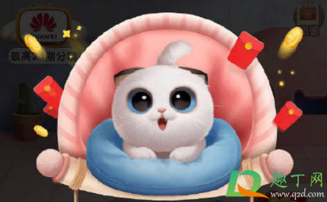 2020双十一养猫群互助群(双11养猫群)