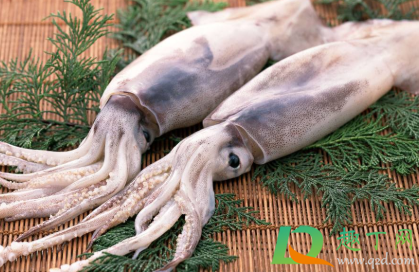 鱿鱼的内脏怎么去除(鱿鱼怎么处理内脏)