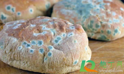 餐具黄曲霉菌用水能洗掉吗(被黄曲霉菌污染的厨具)