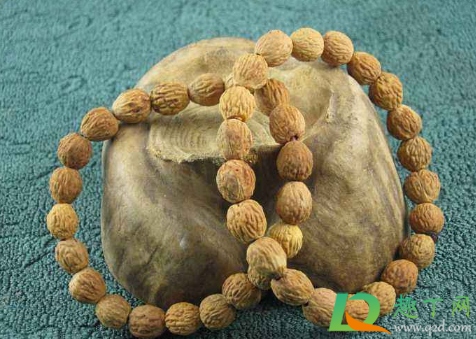 几月份的山楂能做手串(山楂籽手串几月份做好)