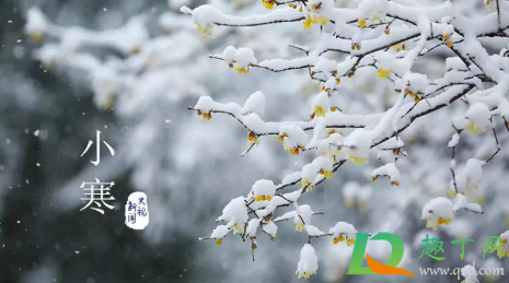 2020小寒是哪一天什么时间(小寒是几月几日2020具体时间)