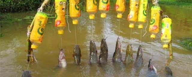 钓鱼可以陶冶情操吗(钓鱼陶冶情操的句子)