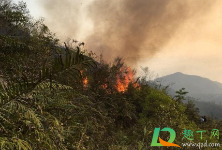 福建漳浦突发山火怎么回事(漳浦火山岛事故)