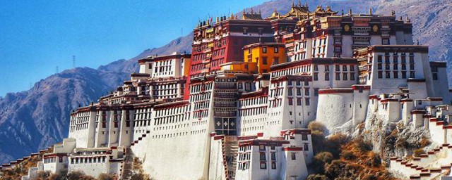 具体电影介绍(电影影的介绍)