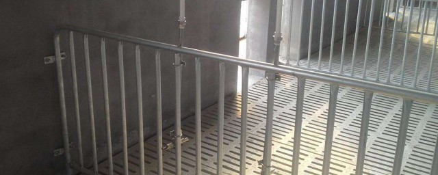 养猪饮水器安装简单方便么(猪饮水器安装方法)