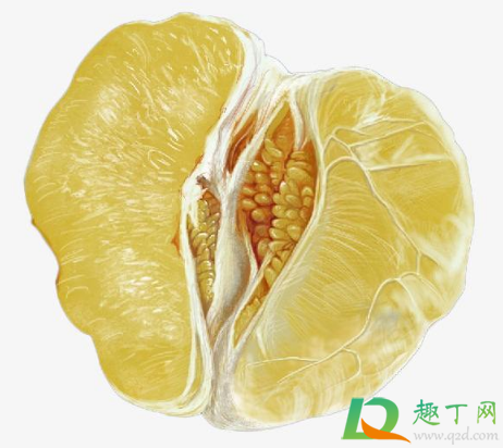 柚子怎么剥出纯果肉(柚子怎么剥完整果肉皮) 柚子怎么剥出纯果肉(柚子怎么剥完整果肉皮)