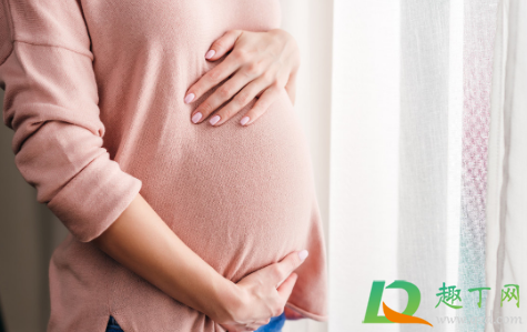 现在公务员可以生三胎吗(公务员必须生三胎) 现在公务员可以生三胎吗(公务员必须生三胎)