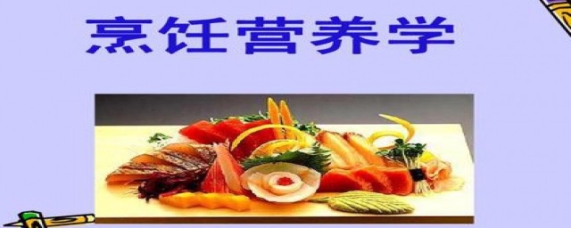 不同阶段人学习建议