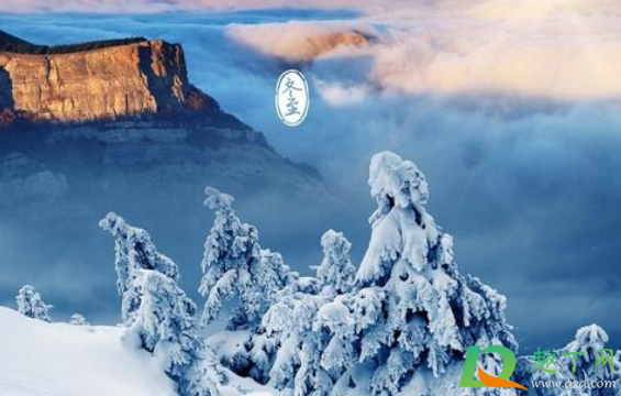 2020年冬至是几号星期几(2020年冬至是几月几日星期几) 2020年冬至是几号星期几(2020年冬至是几月几日星期几)