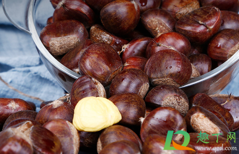 生板栗冷冻一年还能吃吗(熟板栗放冰箱冷冻一年还可以吃吗)