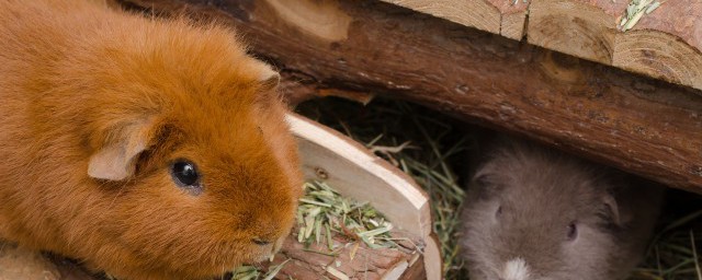 其实这都是捕风捉影的事情(捕风捉影告诉我们一个什么道理)