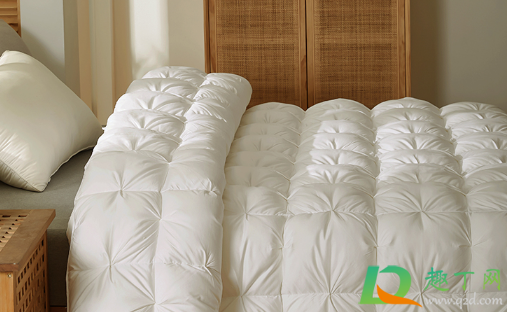 白色羽绒被为什么会变黄(羽绒被为什么会发黄) 白色羽绒被为什么会变黄(羽绒被为什么会发黄)