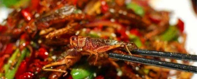 古人为何不吃蝗虫灭灾？(古代对付蝗虫的办法)