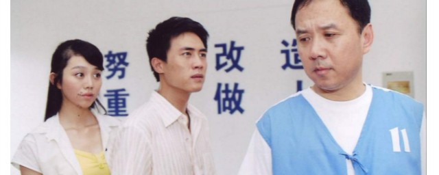 电视剧监察局长讲的是什么(监察局长剧情)