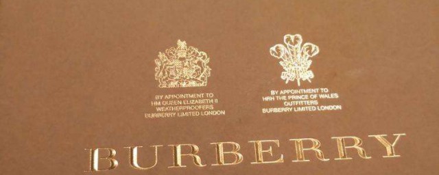 是哪个国家的品牌(大众是哪个国家的品牌)