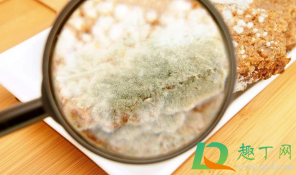 餐具黄曲霉菌用水能洗掉吗(被黄曲霉菌污染的厨具)
