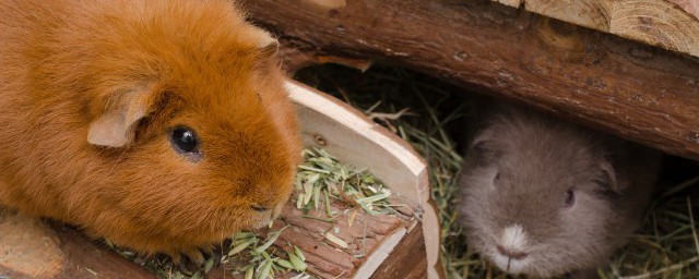 其实这些事件只是偶然(任何事件的发生都不是偶然)