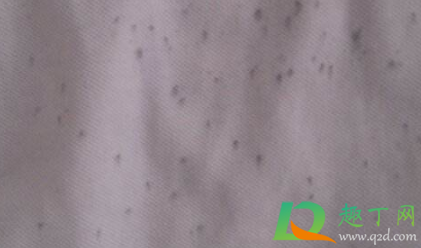 为什么短袖背后全是黑点点(短袖后背有很多小黑点) 为什么短袖背后全是黑点点(短袖后背有很多小黑点)