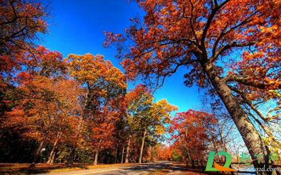 2020年11月是什么季节(202011月份是什么季节) 2020年11月是什么季节(202011月份是什么季节)