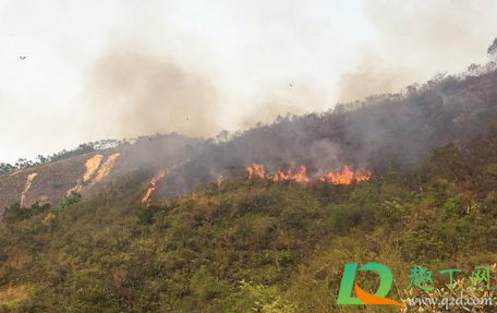福建漳浦突发山火怎么回事(漳浦火山岛事故)