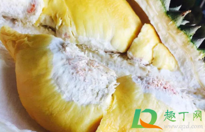 榴莲白色的地方可以吃吗(榴莲上边白色的能吃吗) 榴莲白色的地方可以吃吗(榴莲上边白色的能吃吗)