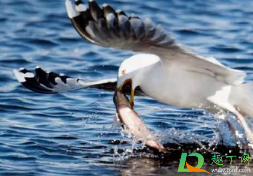 2021大寒后天气会变暖吗(2021过年天气会暖和吗) 2021大寒后天气会变暖吗(2021过年天气会暖和吗)