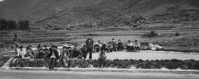 1962年是什么年(1962年是什么年?)