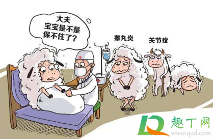 布病是什么病(布病是什么病,怎么治疗) 布病是什么病(布病是什么病,怎么治疗)