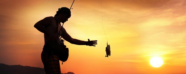 羊油钓鱼窝料具体操作方法(羊油做鱼窝料行吗)