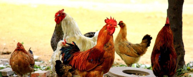 销路总是会有的(销路好和销路差概率)