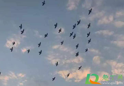 2021除夕那天冷不(2021 除夕是哪天)