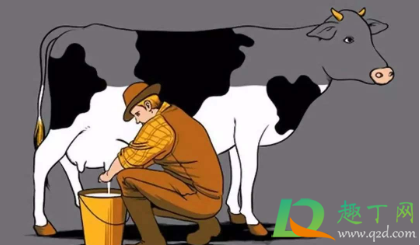 布病是什么病(布病是什么病,怎么治疗) 布病是什么病(布病是什么病,怎么治疗)