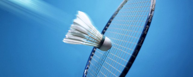 范文举例(范文举例论证的片段200字)