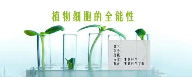 生物科学专业主要学什么(生物科学专业学什么?)