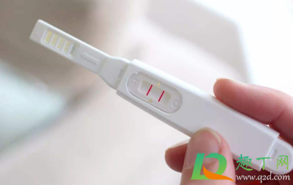 验孕棒怎么看c区和t区(验孕棒如何看c区和t区)
