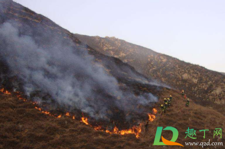 福建漳浦突发山火怎么回事(漳浦火山岛事故)