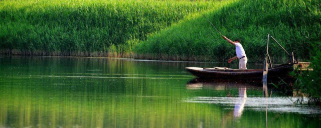 春季钓鱼的注意事项(春季钓鱼的技巧)