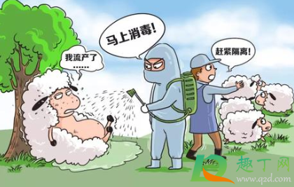 布病是什么病(布病是什么病,怎么治疗)